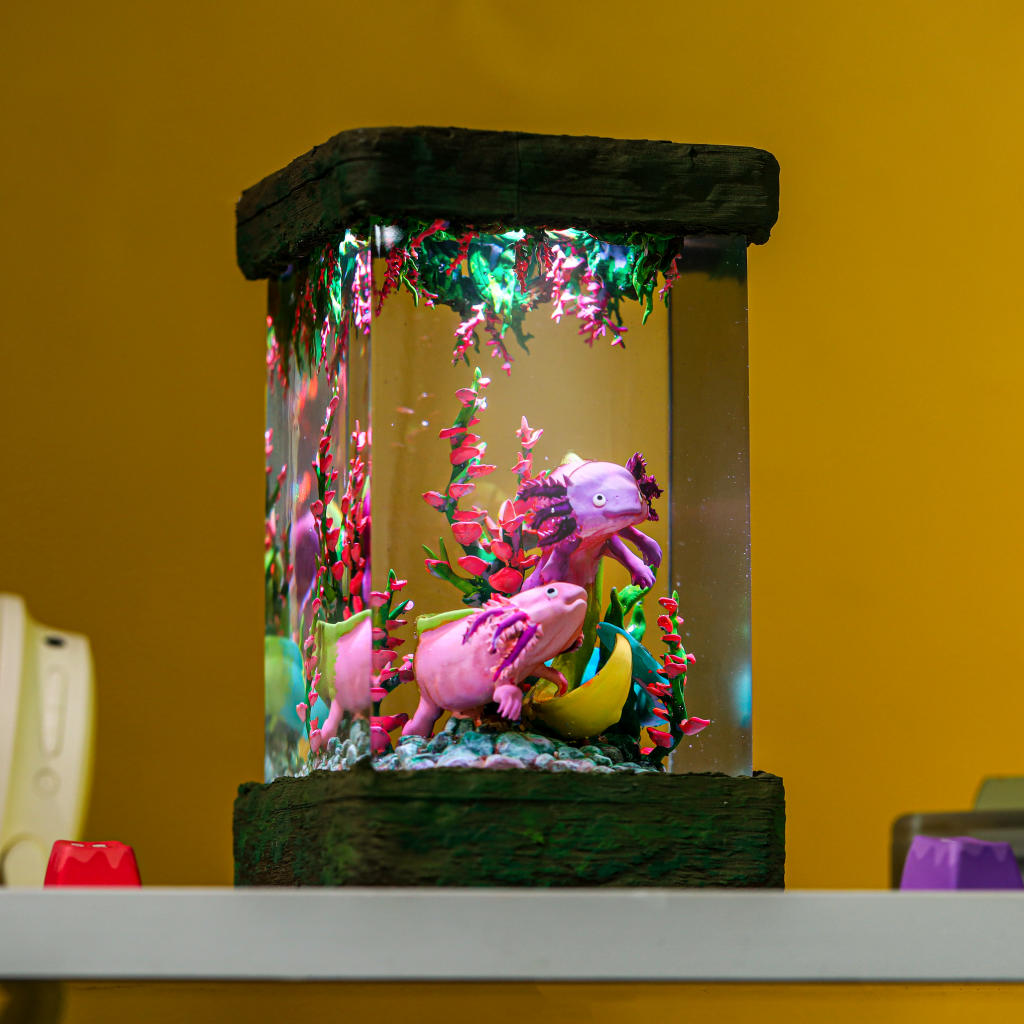 Axolotl Night Light - Image 5