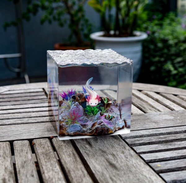 Axolotl Night Lights - Image 10