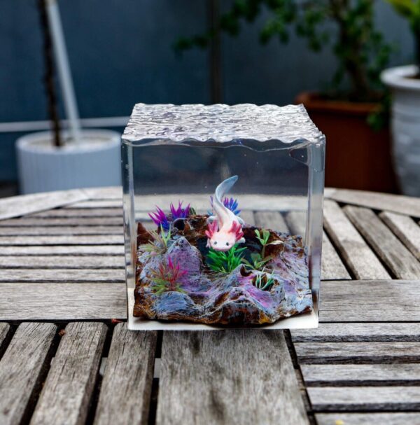 Axolotl Night Lights - Image 11