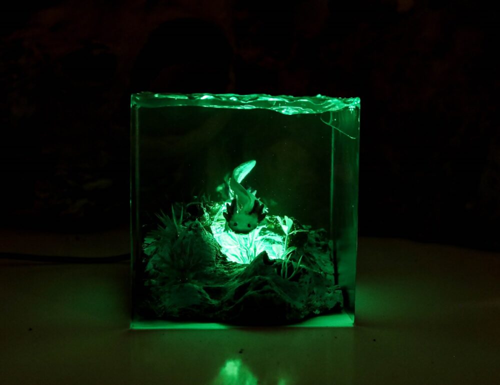 Axolotl Night Lights - Image 9