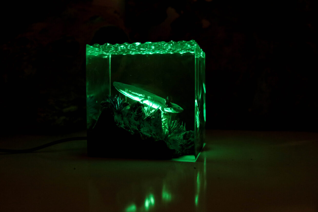 Axolotl Night Lights - Image 8