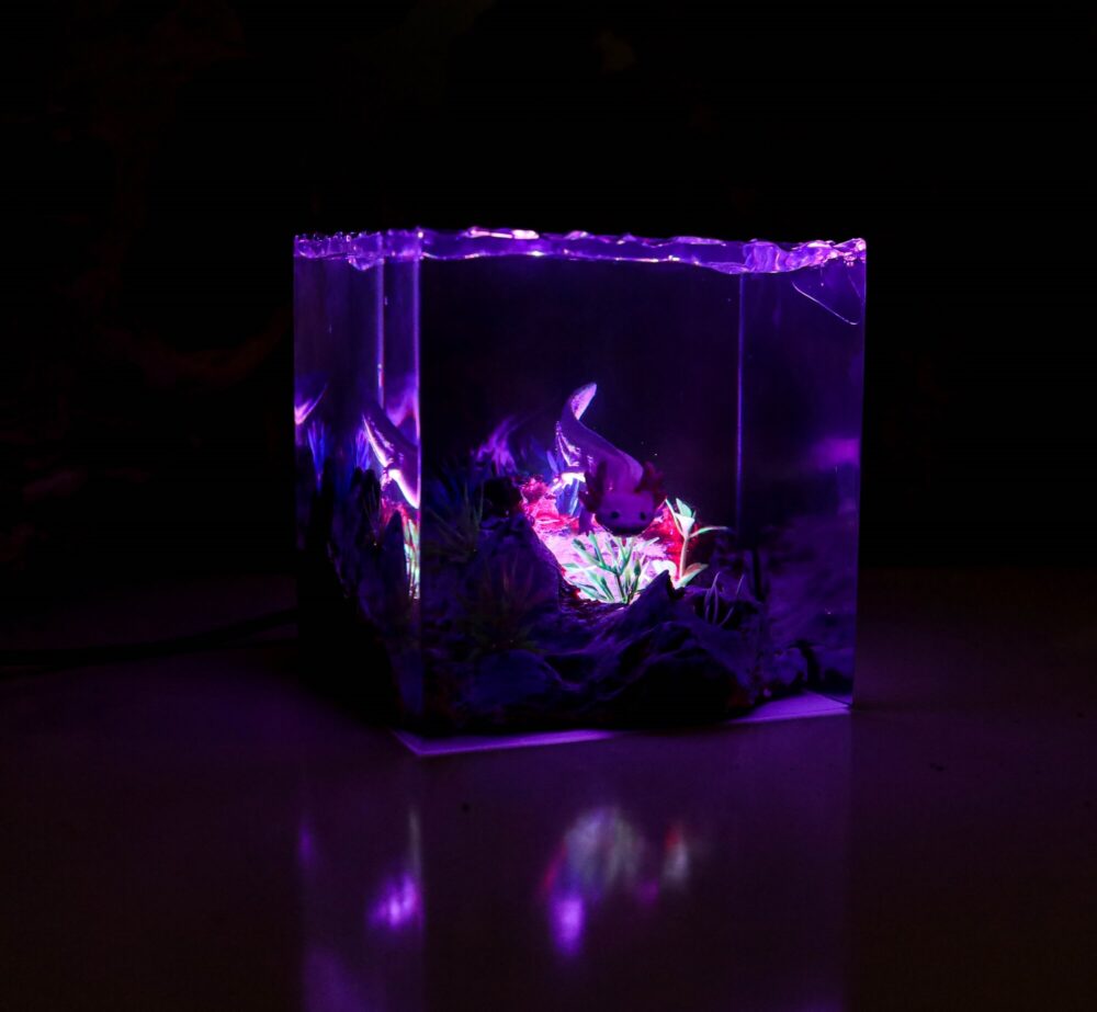 Axolotl Night Lights - Image 7