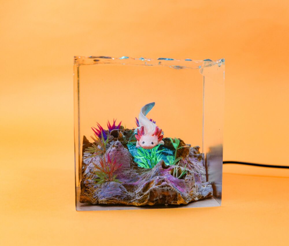 Axolotl Night Lights - Image 6