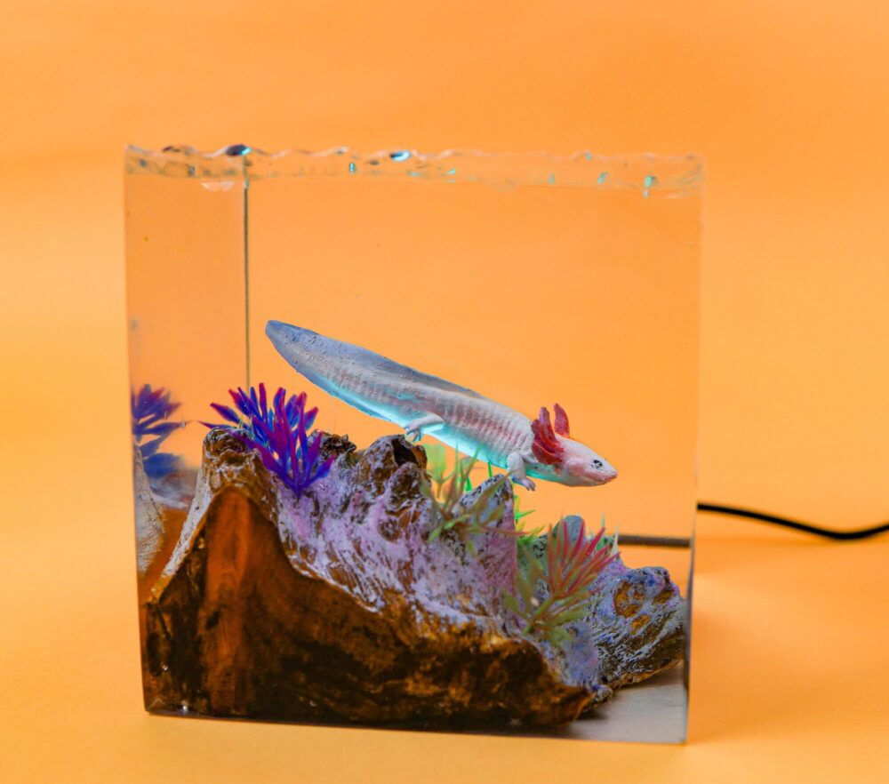 Axolotl Night Lights - Image 4