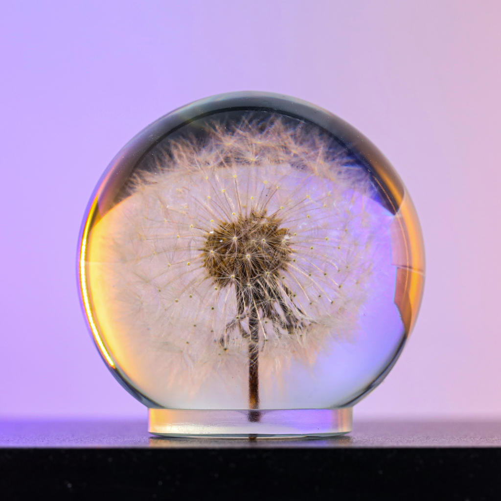 Dandelion Night Light - Image 2