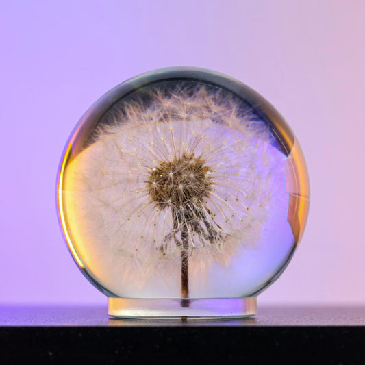 Dandelion Night Light - Image 2