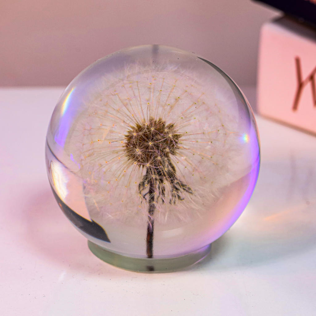 Dandelion Night Light - Image 11