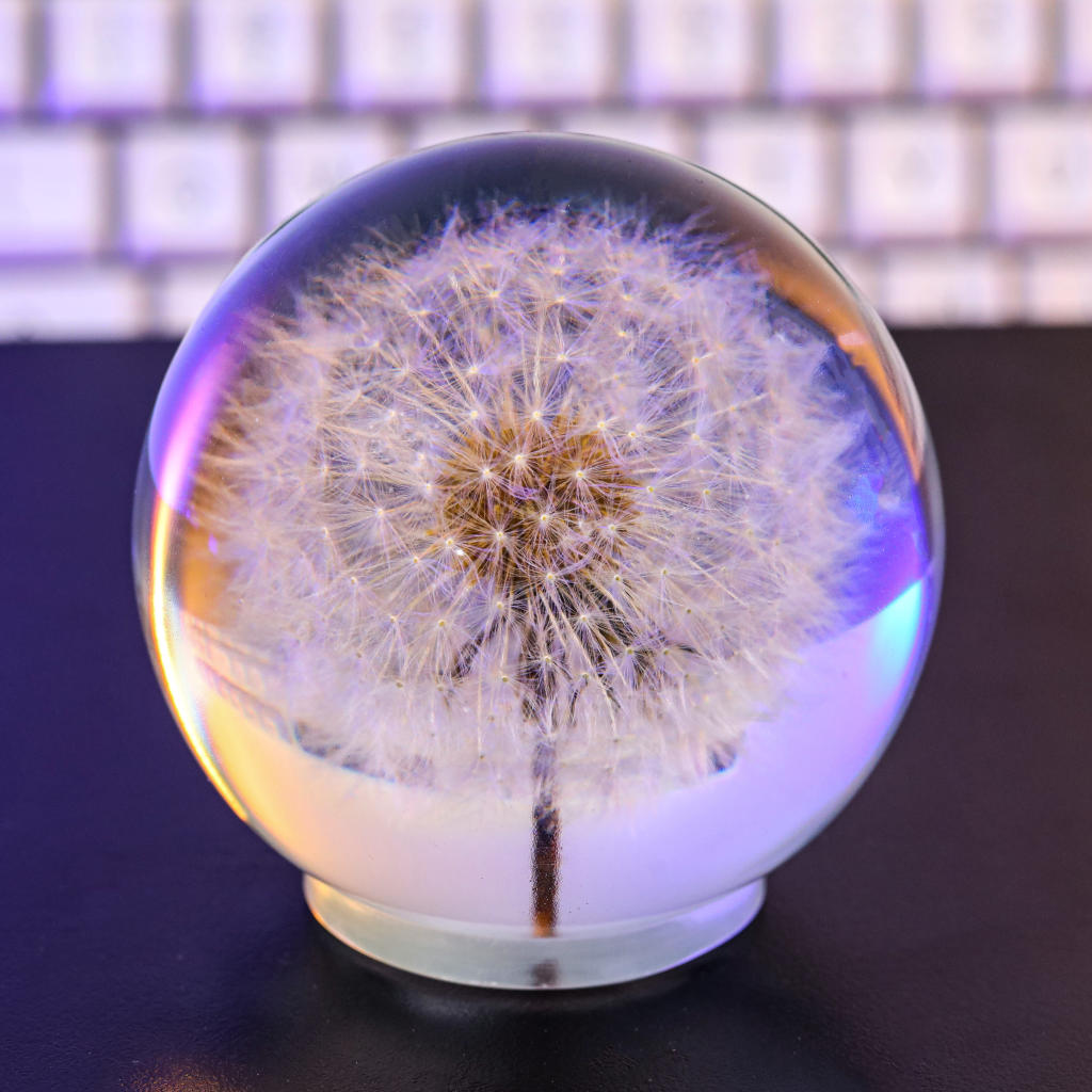 Dandelion Night Light - Image 12