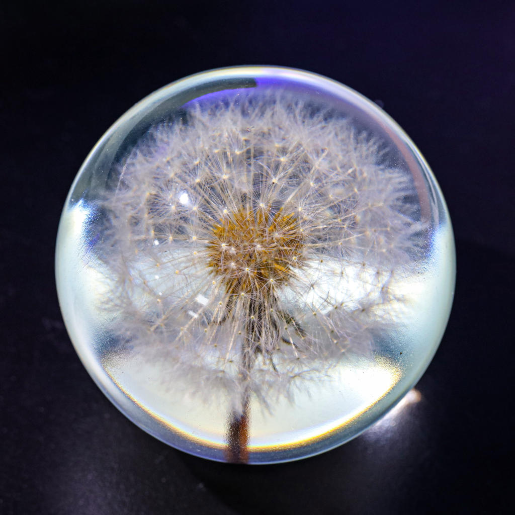 Dandelion Night Light - Image 3