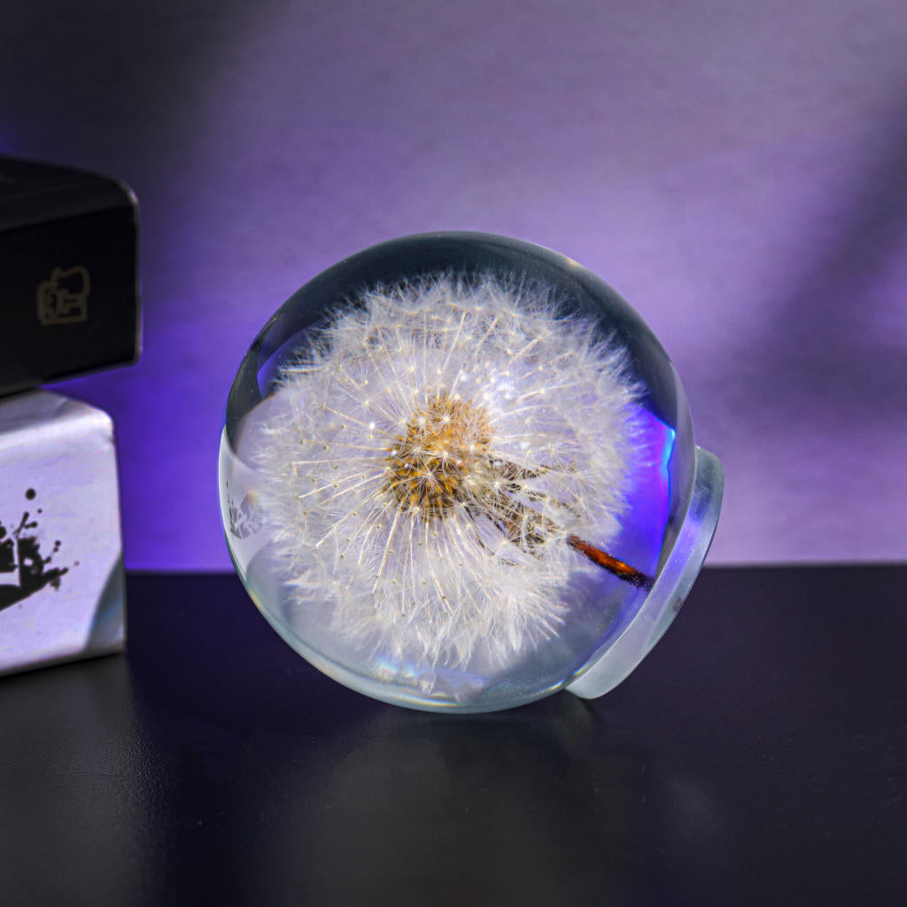 Dandelion Night Light - Image 4