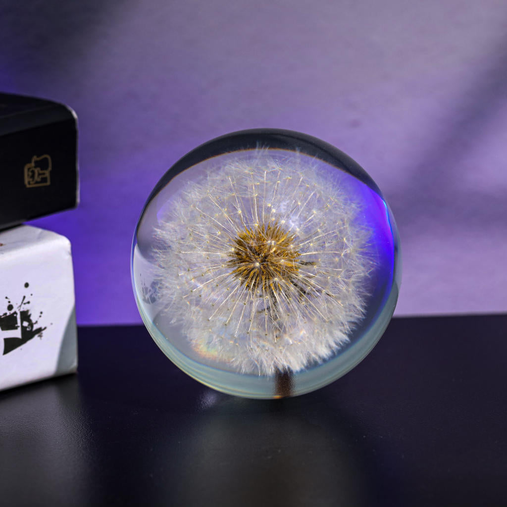 Dandelion Night Light - Image 5