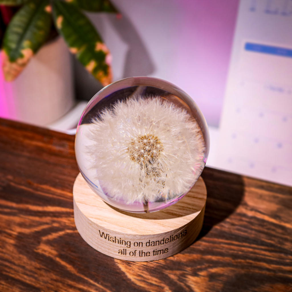 Dandelion Night Light - Image 6