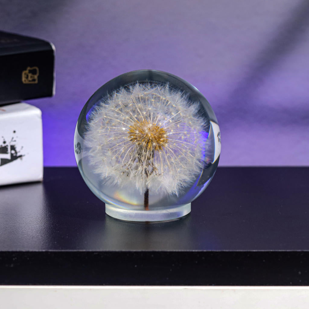 Dandelion Night Light - Image 9