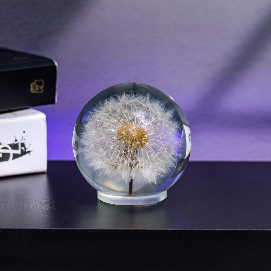 Dandelion Night Light - Image 10