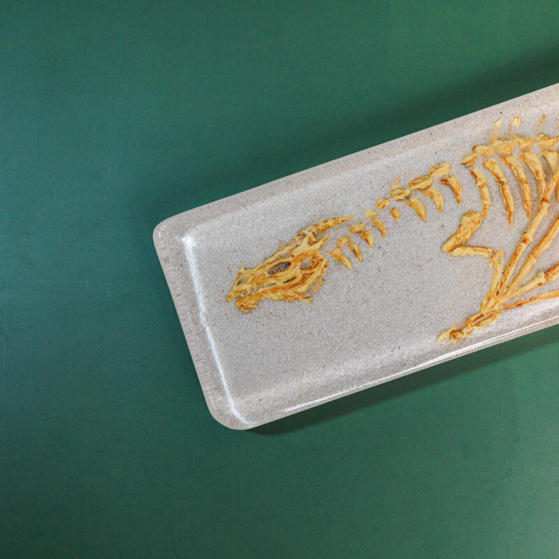 Fossil Dragon Keyboard Wrist Rest - Image 6