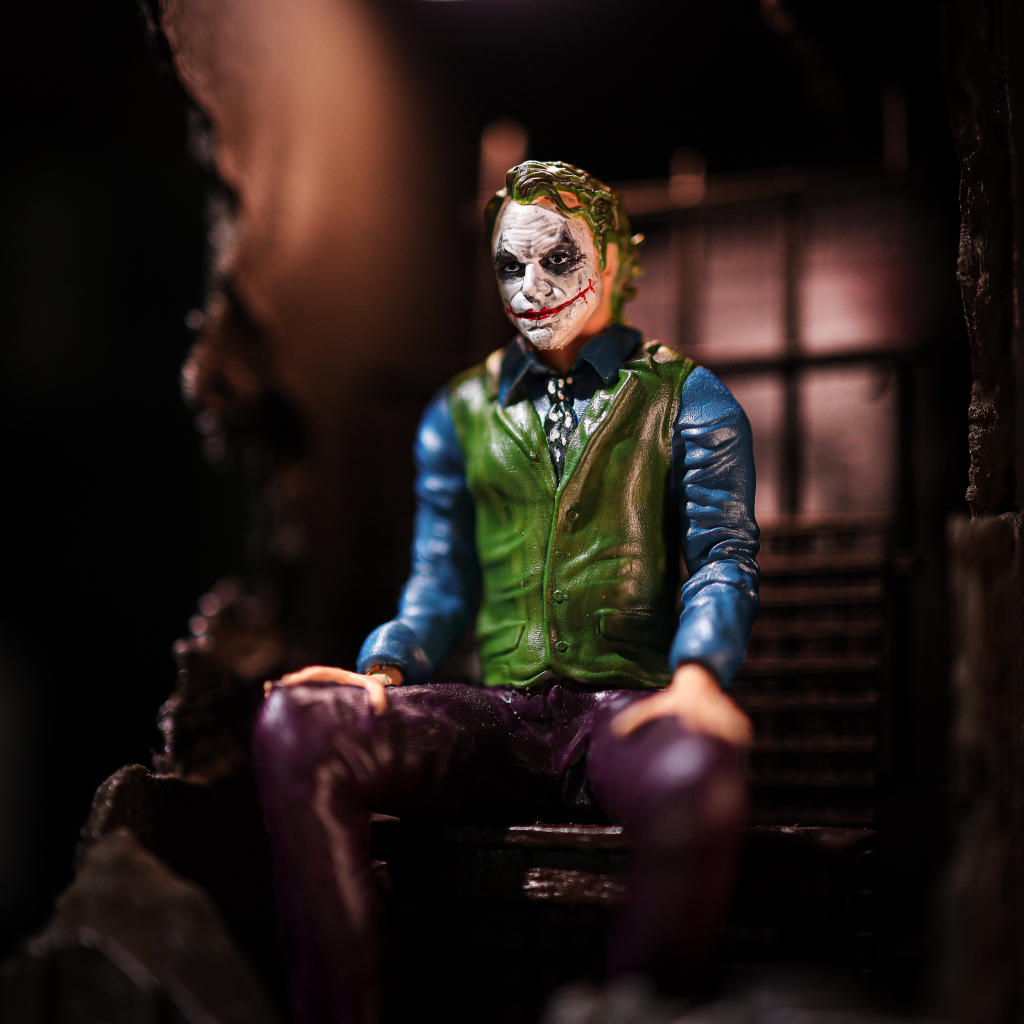 Joker Book Nook - Image 14